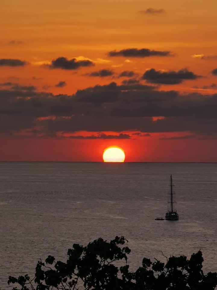 Villa Manolo Ocean And Forest View Hotel Drakes Bay Exterior foto